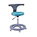 HYRL Ergonomischer Arzthocker, Verstellbarer Zahnarzthocker, drehbarer Rollstuhl mit rückseitiger Fußstütze für den Spa-Massage-Salon