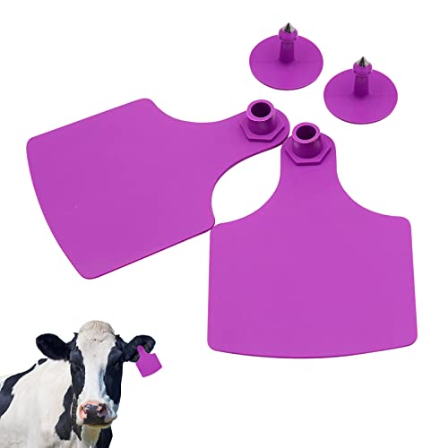 4.1” L×3”W Livestock Blank Ear Tags 100 Pieces Cattle Ear Tags Big TPU Precision Animal Identification Blank Ear Tags Animal Earring Marker Tags for Cattle Cow Swine Deer Camel Horse (Purple)