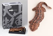 Amazon.co.jp: 海洋堂 京都水族館限定フィギュア オオサンショウウオ