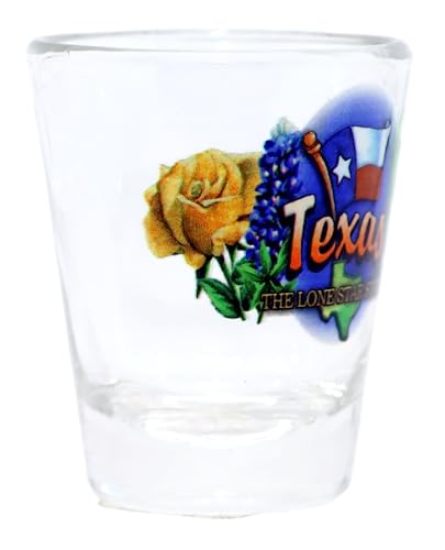 Texas Lone Star State Elements Shot Glass #TOP1