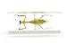 Praying Mantis(Mantis)(rearhorse) Paperweight Specimen Science Education Specimens(4.4x1.6x1.1