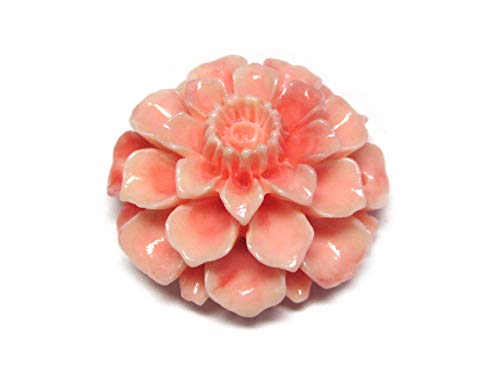 専用‼️ 珊瑚　パーツ　材料 imgrc0087013080.jpg