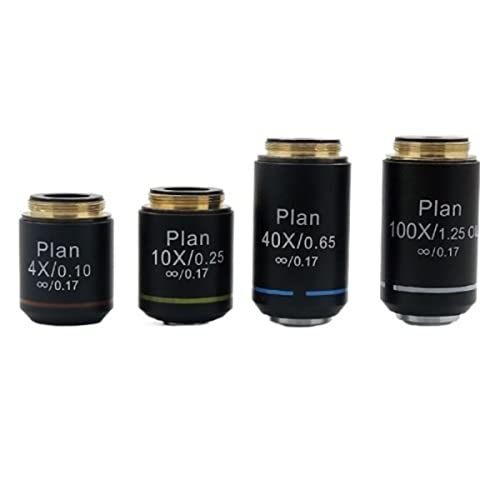 {pANZT[ 4x10x40x100xwAvʐFqϓIY(Whole set)