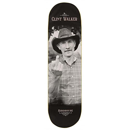 Birdhouse Skateboard-Brett / Deck, 21,3 cm, Schwarz
