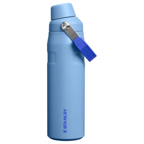 スタンレー 水筒 0.71」の人気商品一覧・価格比較 - 価格.com