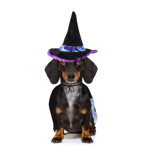 Disfraz de mago para perro talla L Halloween