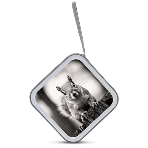 Étui de rangement CD/DVD 40 compartiments en plastique gris clair pour auto - 3