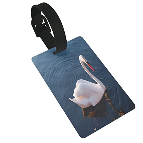 �o�b�O�p�l�[���^�O ���������� ���s�^�O �o�b�O�p�l�[���^�O ���D �X�[�c�P�[�X ���s �o�� �C�O �����h�~ [���s�A���i]