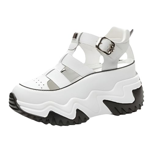 [Miflaier] bV fUC yfB[X  T_z 8cm  }WbNe[v ėp  K T_  y PU