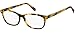 Tommy Hilfiger TH 1682 Havana 54/16/145 women Eyewear Frame