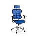 Produktbild hjh OFFICE Luxus Chefsessel ERGOHUMAN Edition Netzstoff Blau
