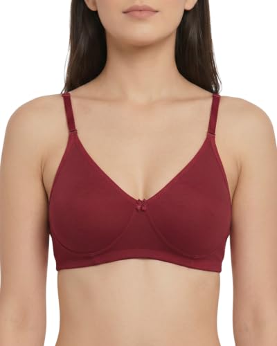 Image of Brida Monica Women's Wide Strap Bra - Soft Hosiery Cotton, Non-Padded, Wireless, Seamless Full Coverage T-Shirt Bra