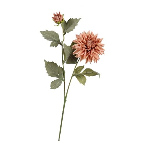 kuhuuru outdoor tFCNt[  _A S66cm A lH sv R[q[