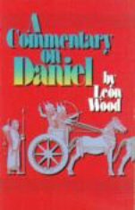 Daniel: A Study Guide 0310347238 Book Cover