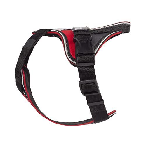 JULIUS-K9 IDC Longwalk Y-Harness, Red-Gray, Size: XS - Image 3