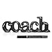 Coach Wood Word Silver Pen | Wood Words ChalkTalk Sports | Coach Gift | Shelf Desk Décor | Ready to Autograph