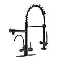 Fapully Commercial Kitchen Faucet with Pull Down Sprayer and Water Filter, Matte Black 3 in 1 Kitchen Faucets with Drinking Water Faucet