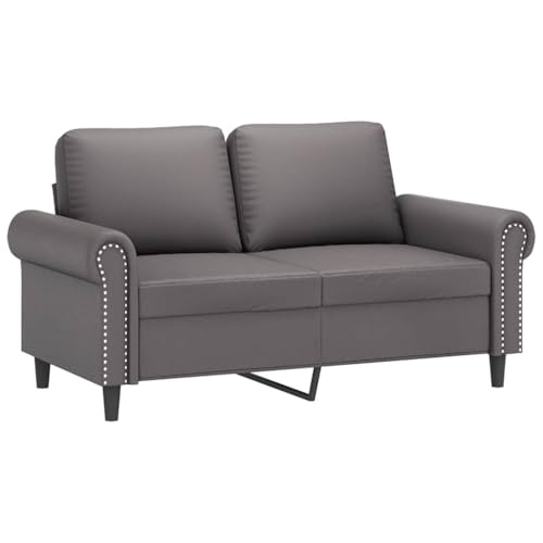 zylophax Sofá de 2 plazas gris de piel sintética 152 x 77 x 80 cm, moderno sofá con estructura de metal y superficie resistente a las manchas para sentarse cómodamente y uso duradero