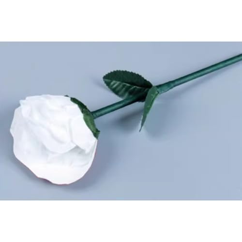 Fleur changeant de couleur et accessoire de production de soie pour illusion