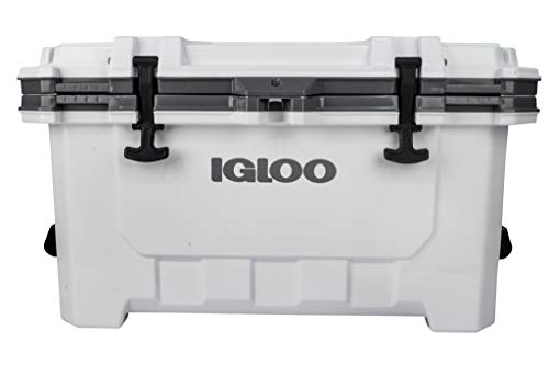 IGLOO IMX Nevera, Outdoor, Blanco, 22 Litro