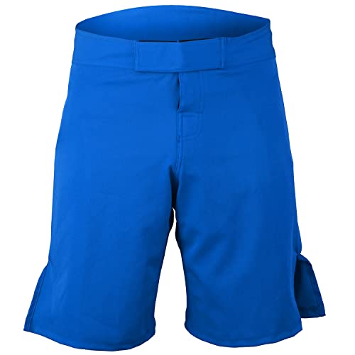 ROAR MMA t@CgV[c UFC ObvO G^C uWA_p g[jO_p US TCY: Small J[: u[