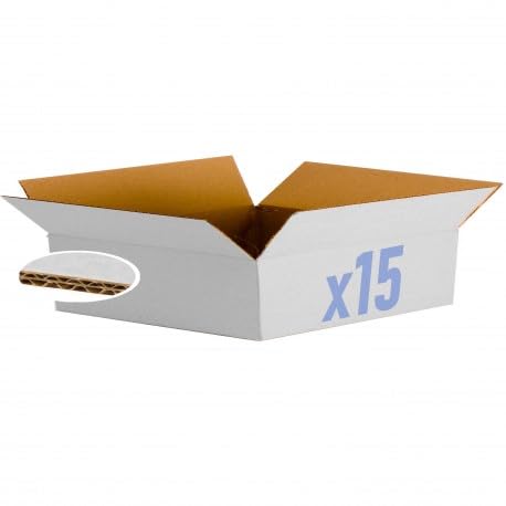 Simpletek 15 unidades caja de envío de embalaje blanca reforzada con doble onda | Medidas 35 x 31 x 9 cm