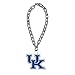 Littlearth NCAA Pet Fan Chain Kentucky Wildcats