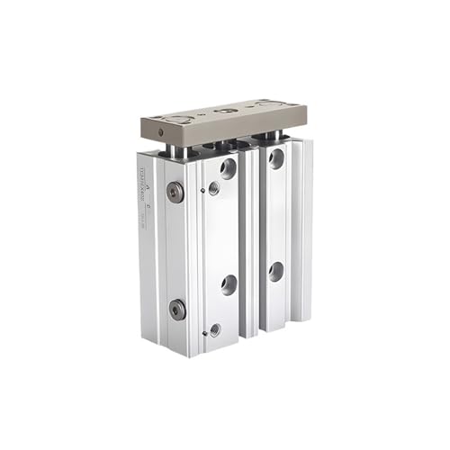 Vérin pneumatique TCM20X50S à trois axes avec tige de guidage intégrée