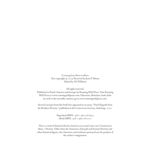 Crossing from Shore to Shore - Image 4