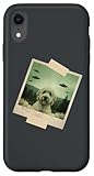 Cani Animali domestici Accessori