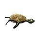 Tuffy Ocean Creature Turtle