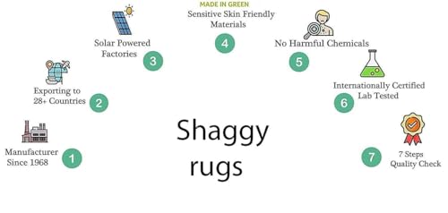 Image of A R Creations Anti Slip Fluffy Fur Plain Shaggy Carpet| Area Rug Made with Polyester and Microfiber for Home, Office, Kitchen, Living Room, Bedroom and Dining Hall Size (3X6 Feet Grey Light)
