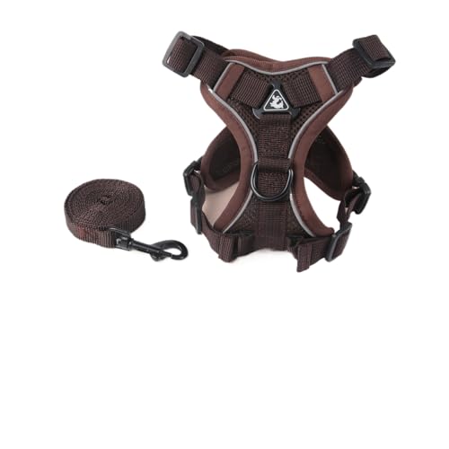 Fiozwea qp[hAxXg^Lpn[lXAˍޕtAʋC LƎqpUp[hƃXgbv (M,D)