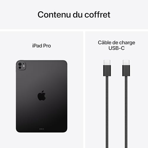 Apple iPad Pro 11 Pouces (M5) : Écran Ultra Retina XDR Verre Standard, 256 Go, Caméra Avant Horizontale 12 MP/Caméra arrière 12 MP, Wi-FI, Autonomie d’Une journée — Noir sidéral