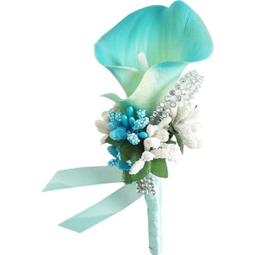 Toivexa NC RT[W }eBbN VYpu[` lH u[gjA  LO tH[} fBi[ p[eB[p Cgu[