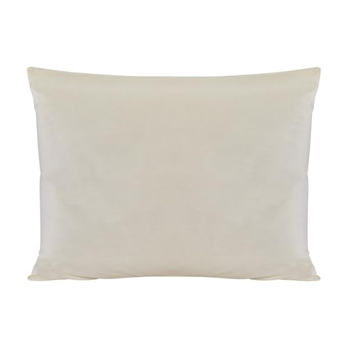 Sleep & Beyond 20 by 30-Inch Washable Wool Pillow, Queen, Natural