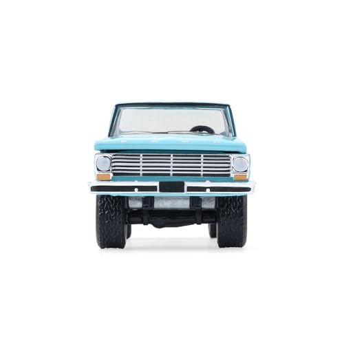 Greenlight Collectibles Modelo 1967 F-100 1:64 miniatura 7