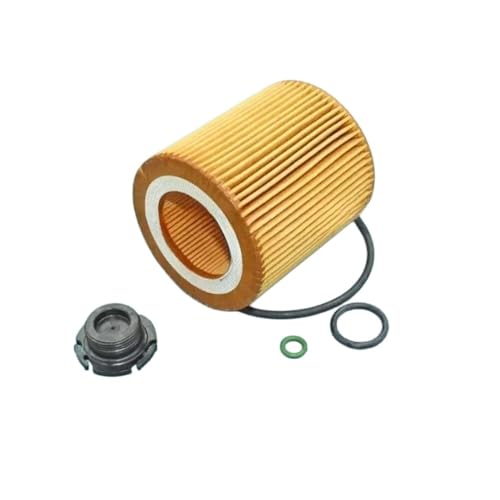 Filtre à huile 11427953125 auto pour berline F30 328i et xDrive X1 E84