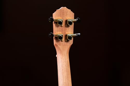 Ortega Guitars Ukulele Tenore Acustico – Timber Series – Gig Bag Inclusa – Ebano, Natural (RUEB-TE) - 10