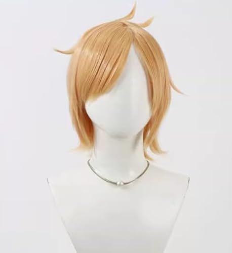 �R�X�v������ ����l�Y �R�X�v�� �E�B�b�O ���� �A�j�� �ϔM �R�X�`���[������ �E�B�b�O�l�b�g�t��