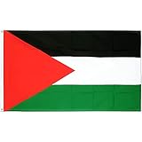 Colgante: manga de barra. KiipFlag Bandera de Palestina Bandera Palestina con ojales de latón, color vivo y resistente a la decoloración UV, cabecera de lona y doble costura, 90 cm x 150 cm, 5 pies x 3 pies