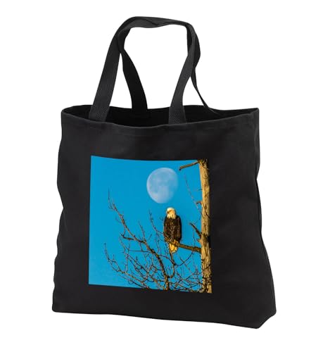 Black Tote Bag 14w x 14h x 3d - USA, Alaska, Chilkat Bald Eagle Preserve, bald eagle adult and moon Eagles