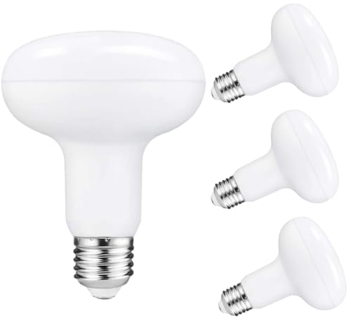 4 18W LED R95/BR30 d tv E26 18Wd 150W^ S1800LM Op^Cv ԏ ŔpƖ HƖ Ɩ 2Nۏ (6500K-F, 18W - R95)