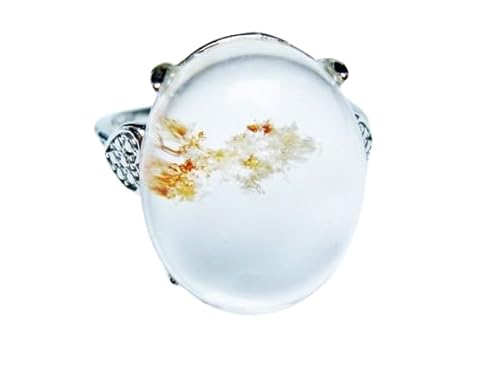 yVR΁zK[fNH[c w 16 115-6943