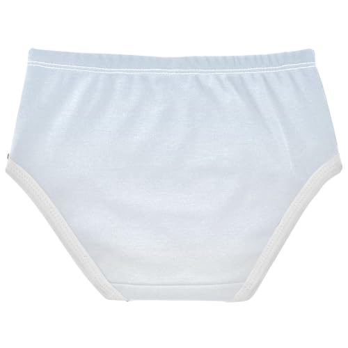 Joisal Cotton Toddler Underwear Floral Ombre White Blue Gradient Little Girl Panties Durable Undies Kids Briefs 2t2