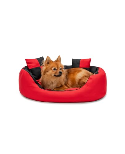 lionto 4 in 1 Lettino per Cane, (S) 65x50 cm Rosso/Nero