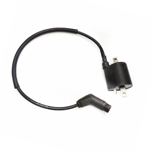 Bobina de encendido y compatibles con Linhai 260 a 550 para sistemas EFI
