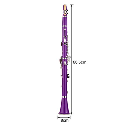 Clarinet,Muslady 17-Key Clarinet,Bb Flat ABS Woodwind Instrument with Carry Case Cleaning Cloth Mini Screwdriver Reed Case 10pcs Reeds