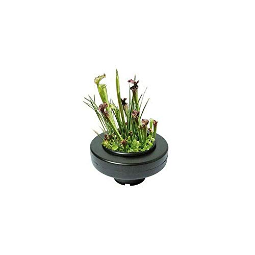 Superfish SuperFish Floating Plant Basket - Image 3