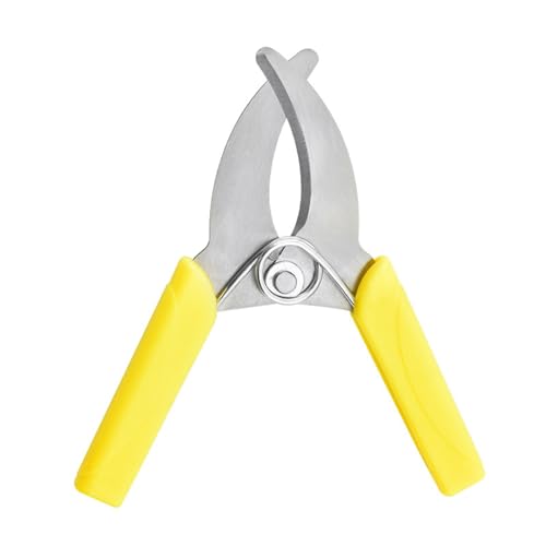 K[fg~O͂݃X`[K[fjOA͂݉Ԃ̎}ʎڂ؃g~Onhc[Ȏ}Jb^[